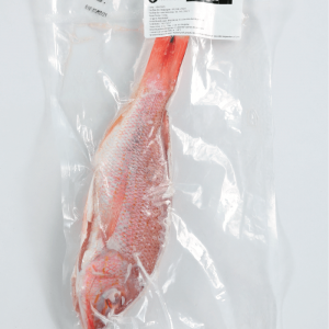 Pargo Rojo